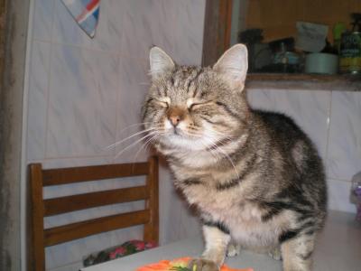 Прикрепленное изображение: jnn.JPG